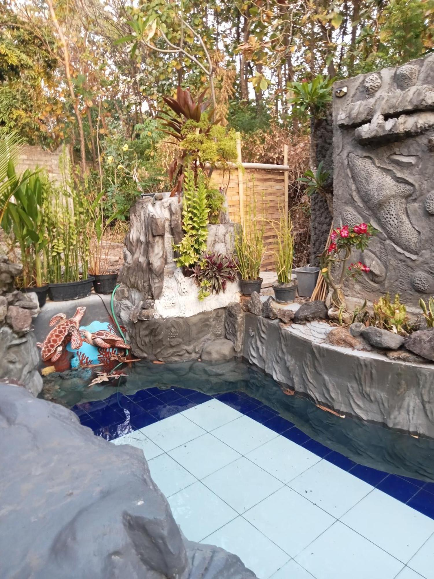 Atb Hostel ロヴィーナ エクステリア 写真